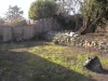 Backyard - Before
