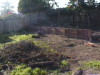 Backyard - in progress